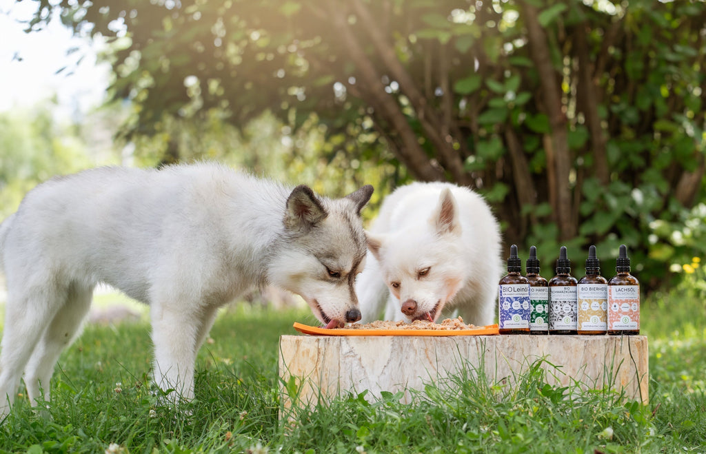 Ernährungsmythos #3: Je mehr Protein, desto gesünder! - Wolfsbacher Natur - empact brands