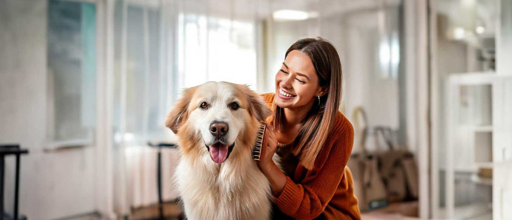 Fellwechsel beim Hund - Die richtige Ernährung - Wolfsbacher Natur - empact brands