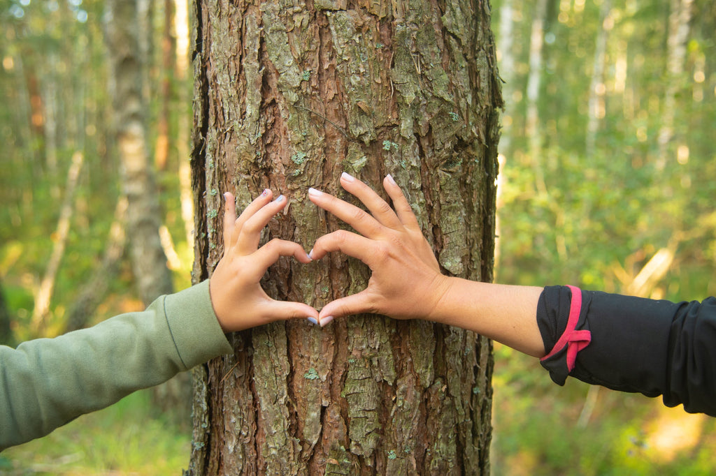 Im Visier – Ulmenrinde - Wolfsbacher Natur - empact brands