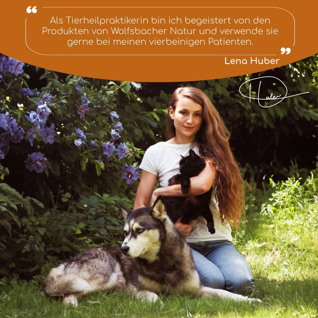 3er Sparset Gelenksnacks für Hunde - Wolfsbacher Natur - empact brands - 