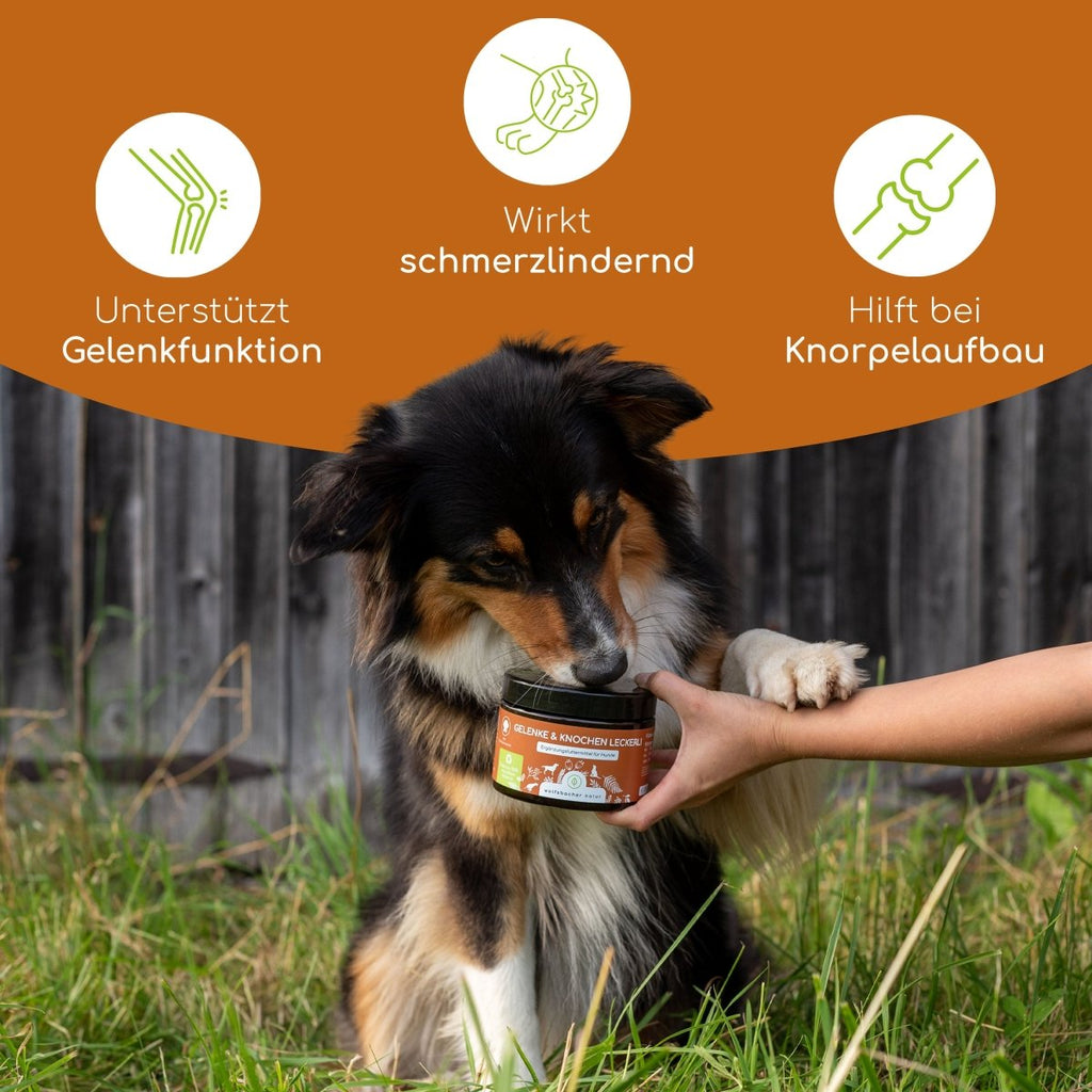 3er Sparset Gelenksnacks für Hunde - Wolfsbacher Natur - empact brands - 