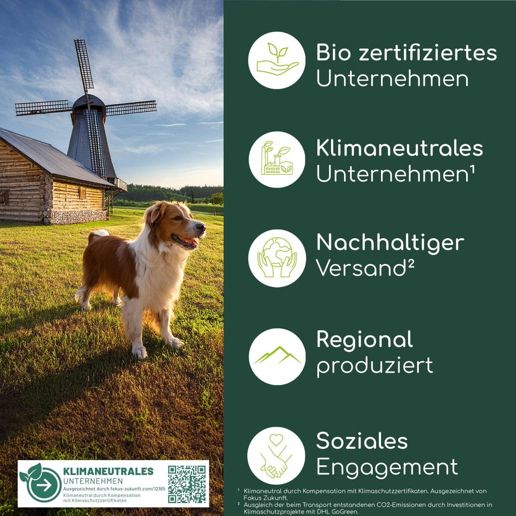 3er Sparset Haut & Fell Leckerli für Hunde - Wolfsbacher Natur - empact brands - 