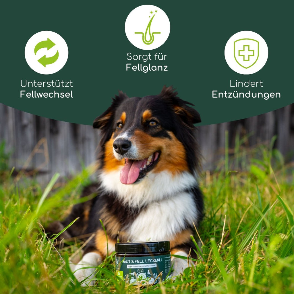 3er Sparset Haut & Fell Leckerli für Hunde - Wolfsbacher Natur - empact brands - 