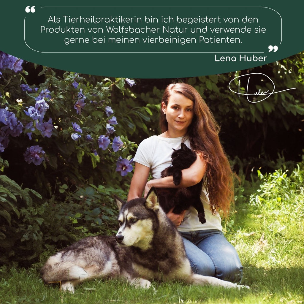3er Sparset Haut & Fell Leckerli für Hunde - Wolfsbacher Natur - empact brands - 