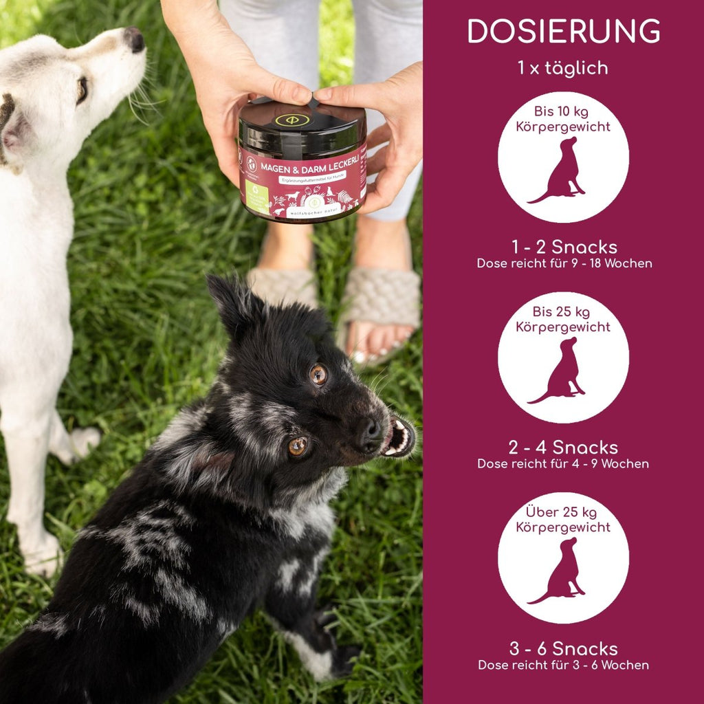 3er Sparset Magen - Darm Snacks für Hunde - Wolfsbacher Natur - empact brands - 