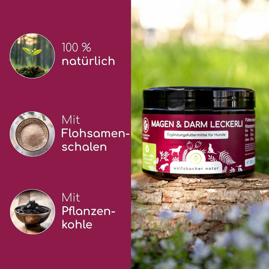3er Sparset Magen - Darm Snacks für Hunde - Wolfsbacher Natur - empact brands - 