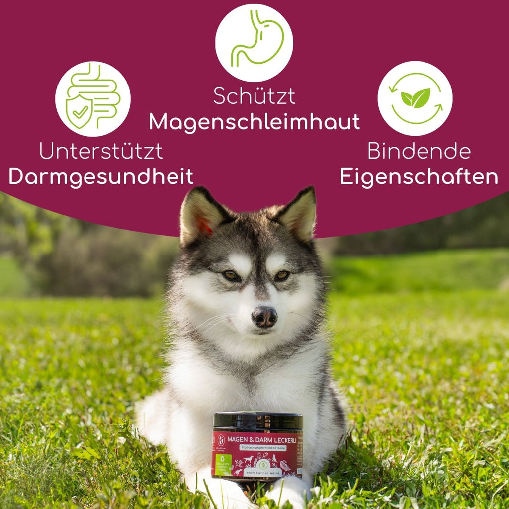 4er Sparset Magen - Darm Snacks für Hunde - Wolfsbacher Natur - empact brands - 