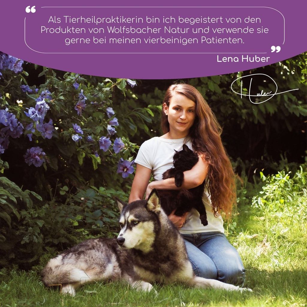 4er Sparset Ruhe & Relax Leckerli für Hunde - Wolfsbacher Natur - empact brands - 