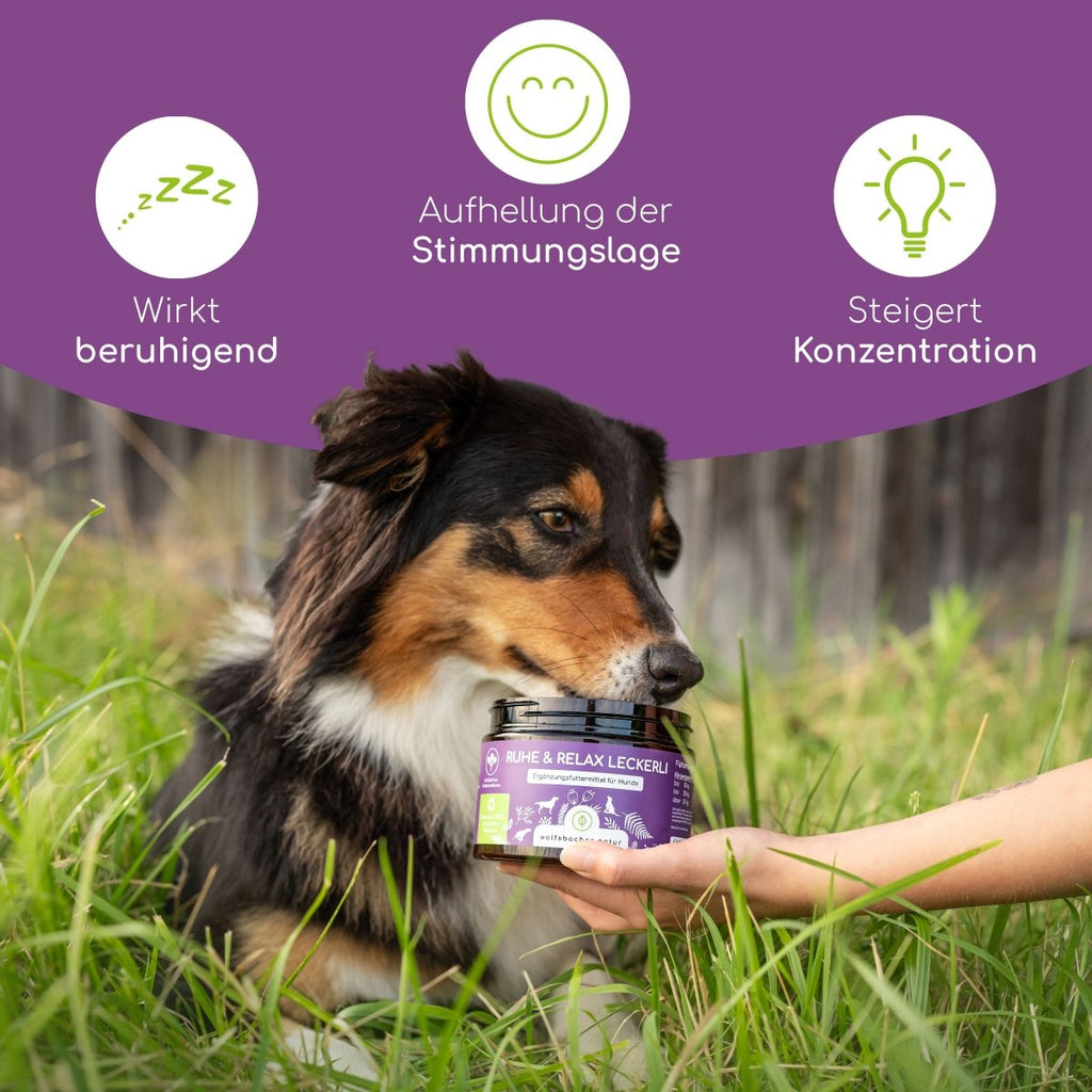 4er Sparset Ruhe & Relax Leckerli für Hunde - Wolfsbacher Natur - empact brands - 