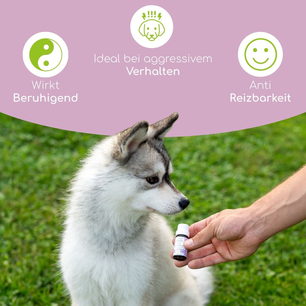 Bachblüten Globuli - Aggression - Wolfsbacher Natur - empact brands - 