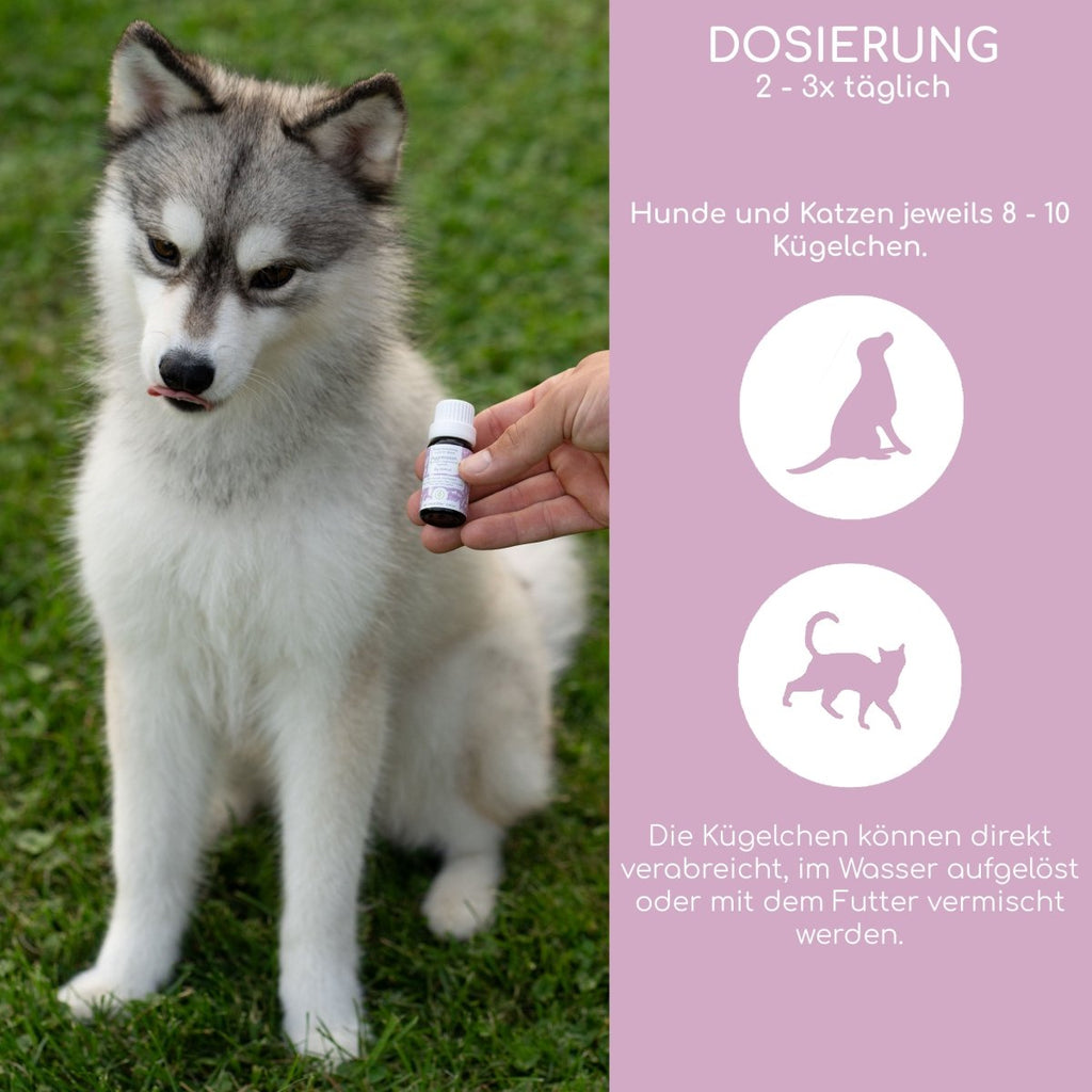 Bachblüten Globuli - Aggression - Wolfsbacher Natur - empact brands - 