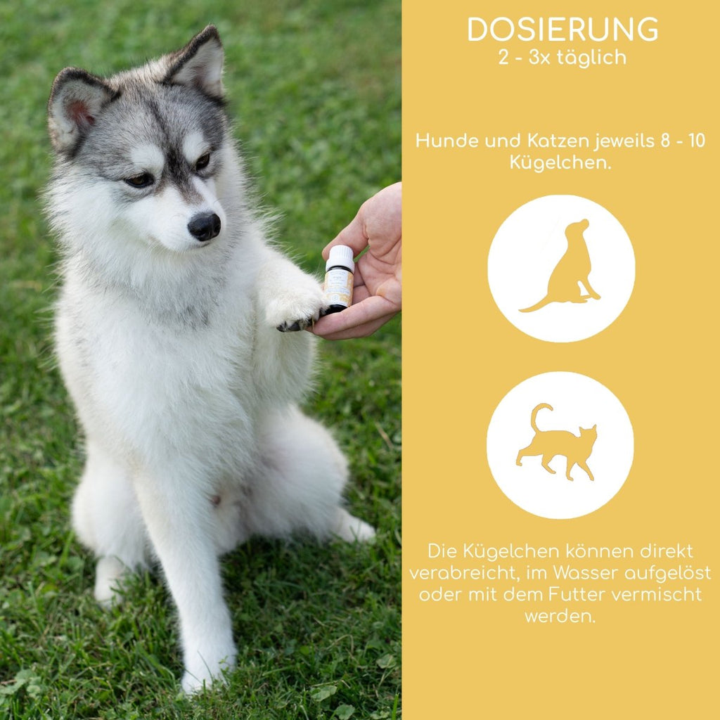 Bachblüten Globuli – Angst - Wolfsbacher Natur - empact brands - 