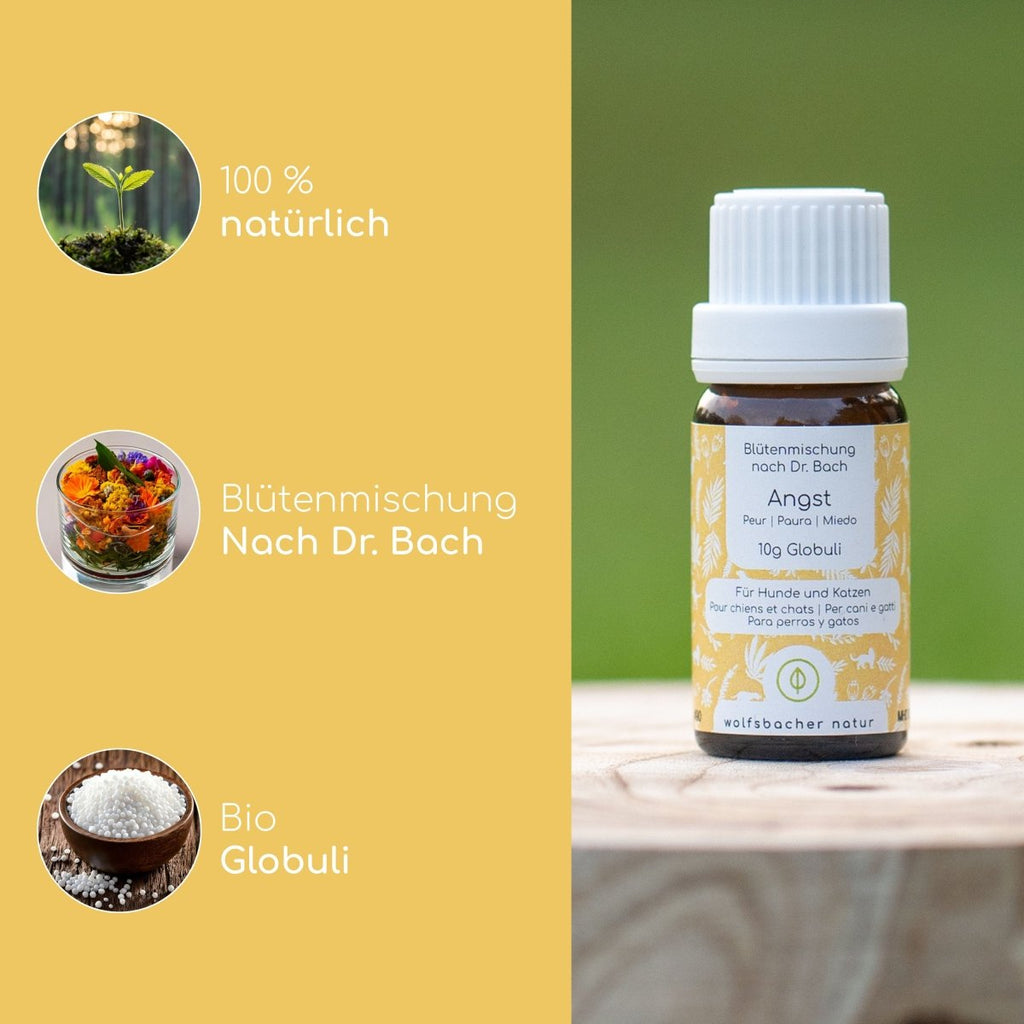 Bachblüten Globuli – Angst - Wolfsbacher Natur - empact brands - 