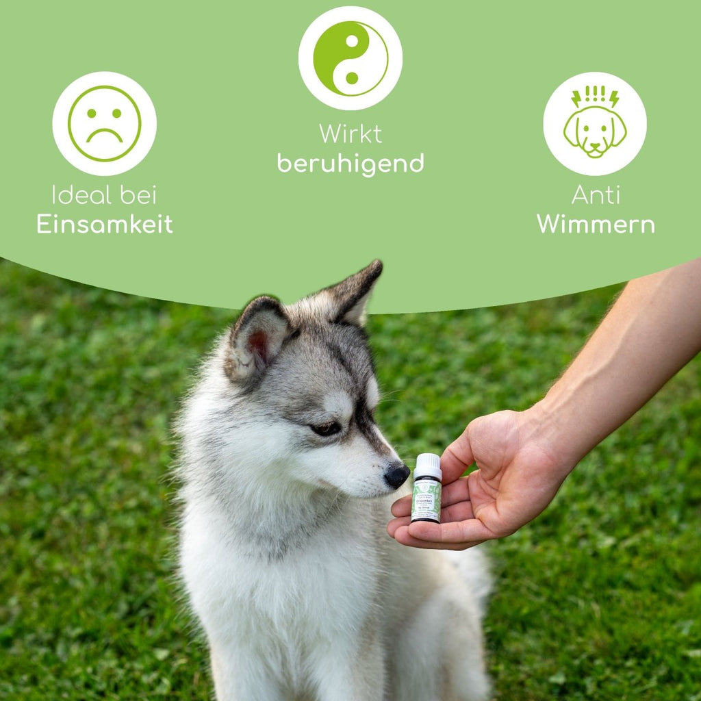 Bachblüten Globuli - Einsamkeit - Wolfsbacher Natur - empact brands - 
