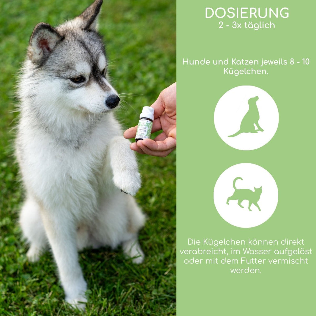 Bachblüten Globuli - Einsamkeit - Wolfsbacher Natur - empact brands - 
