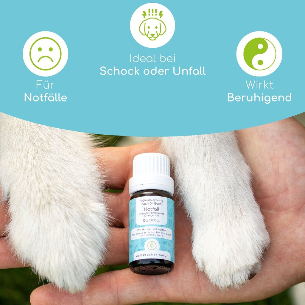 Bachblüten Globuli – Notfall - Wolfsbacher Natur - empact brands - 