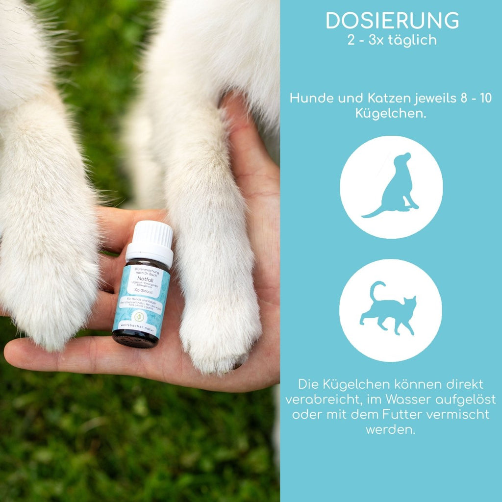 Bachblüten Globuli – Notfall - Wolfsbacher Natur - empact brands - 