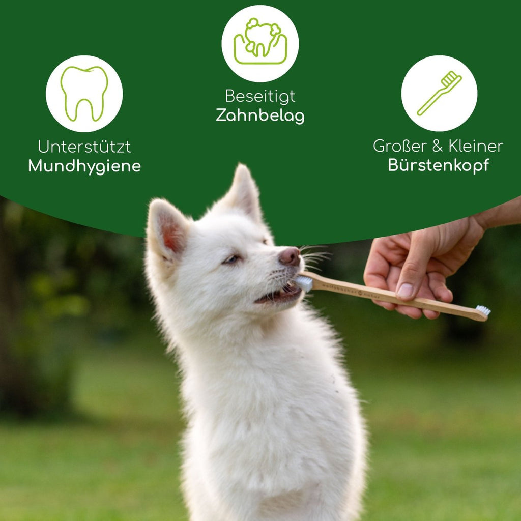 Bambus Zahnbürste - Wolfsbacher Natur - empact brands - 1 Stück