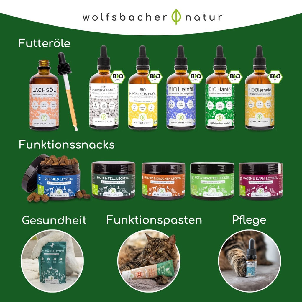 Bambus Zahnbürste - Wolfsbacher Natur - empact brands - 1 Stück