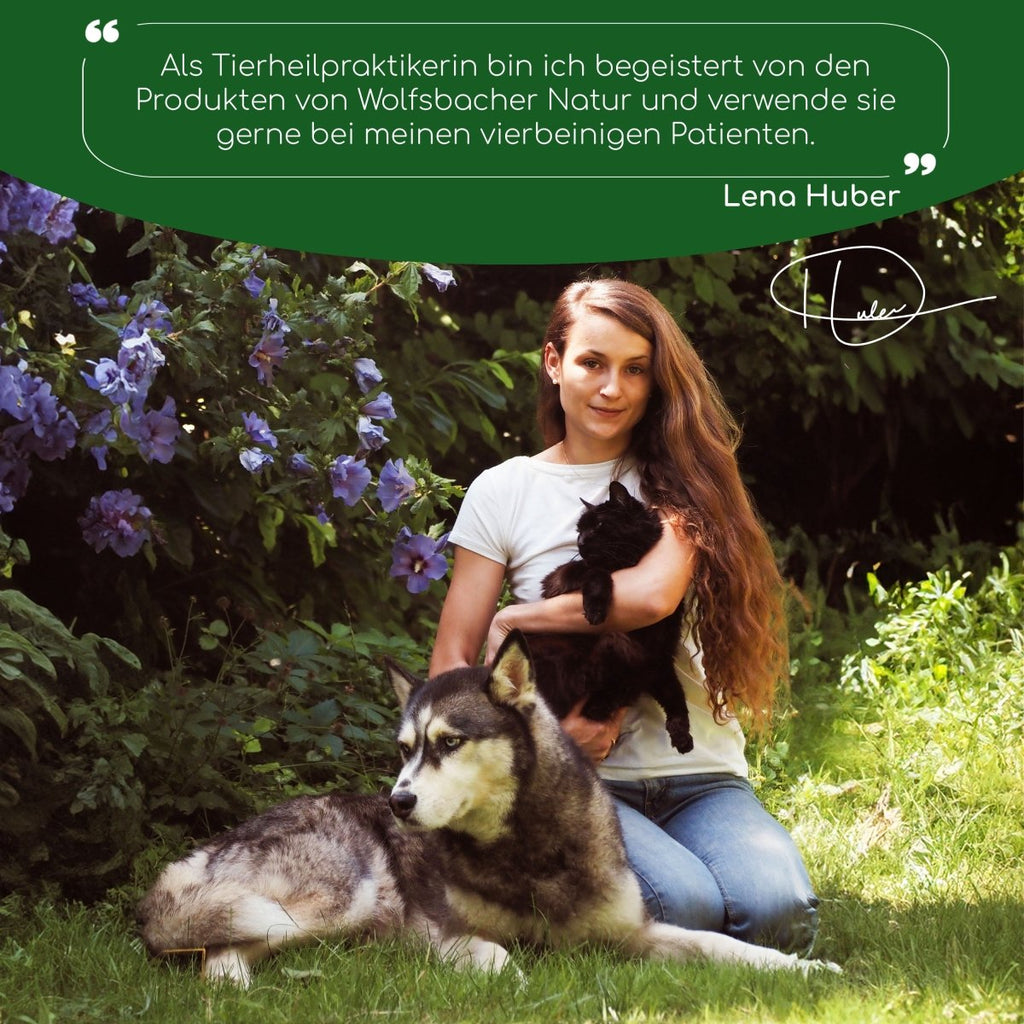 Bambus Zahnbürste - Wolfsbacher Natur - empact brands - 1 Stück