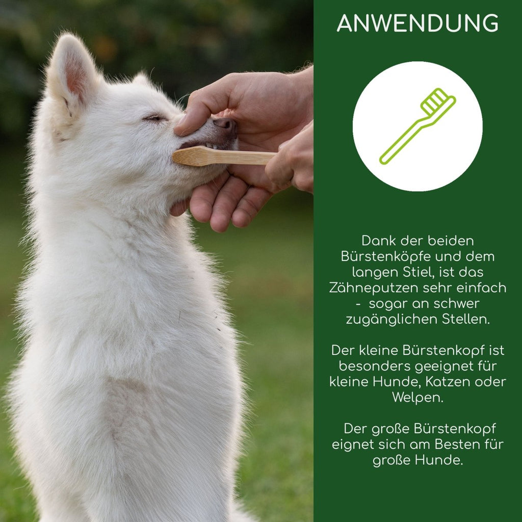 Bambus Zahnbürste - Wolfsbacher Natur - empact brands - 1 Stück