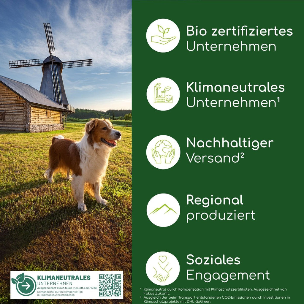 Bambus Zahnbürste - Wolfsbacher Natur - empact brands - 1 Stück