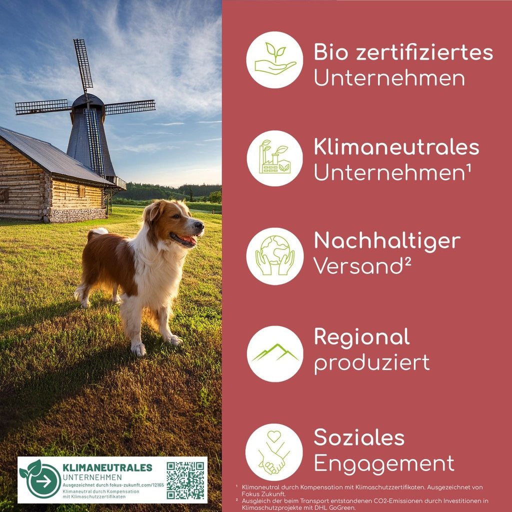 BARF Complete Pulver - Wolfsbacher Natur - empact brands - 