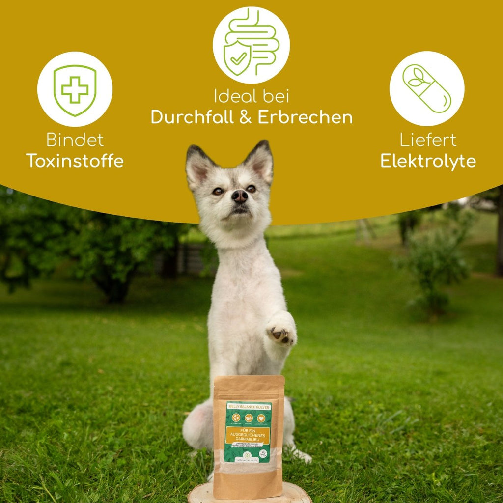 Belly Balance Pulver - Wolfsbacher Natur - empact brands - 