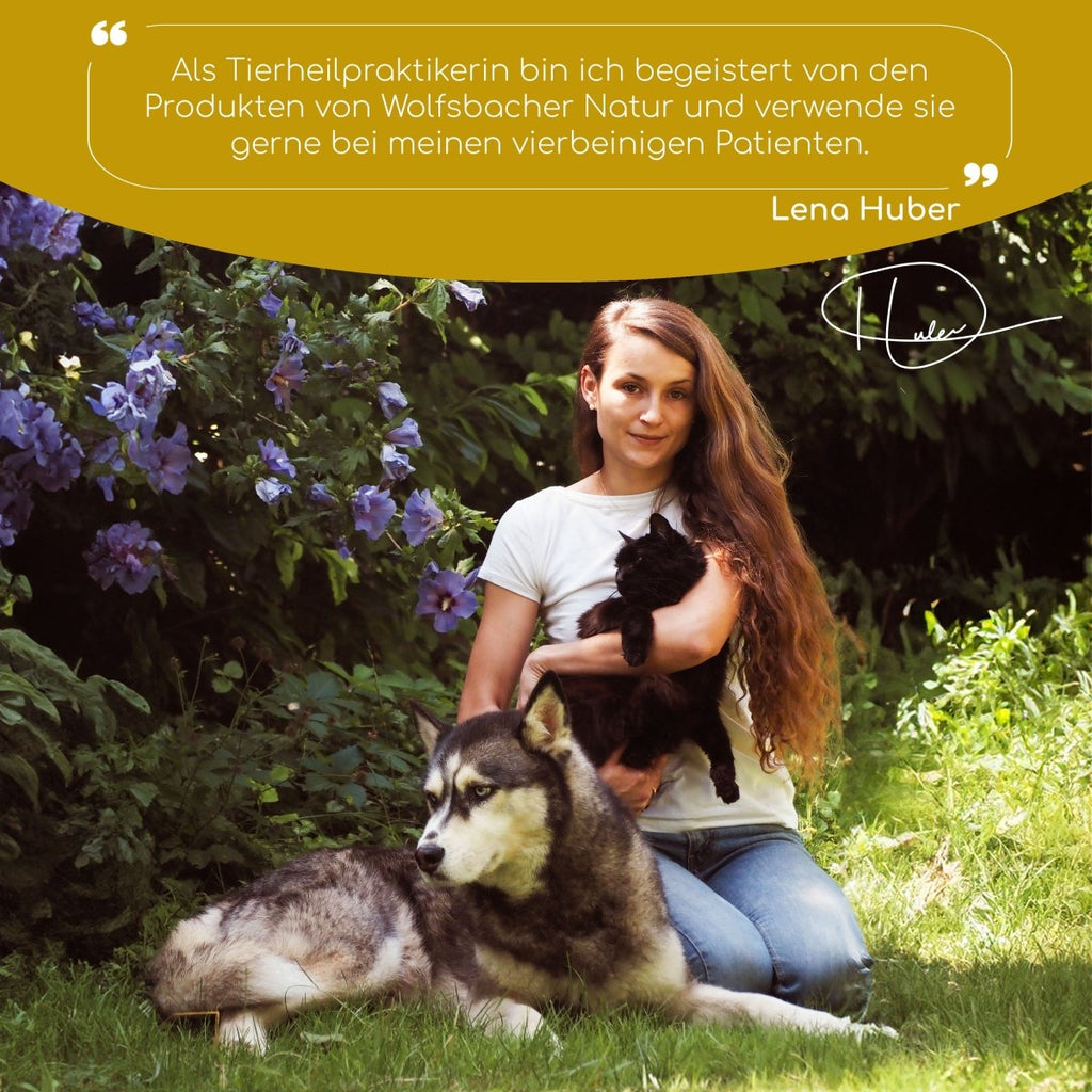 Belly Balance Pulver - Wolfsbacher Natur - empact brands - 