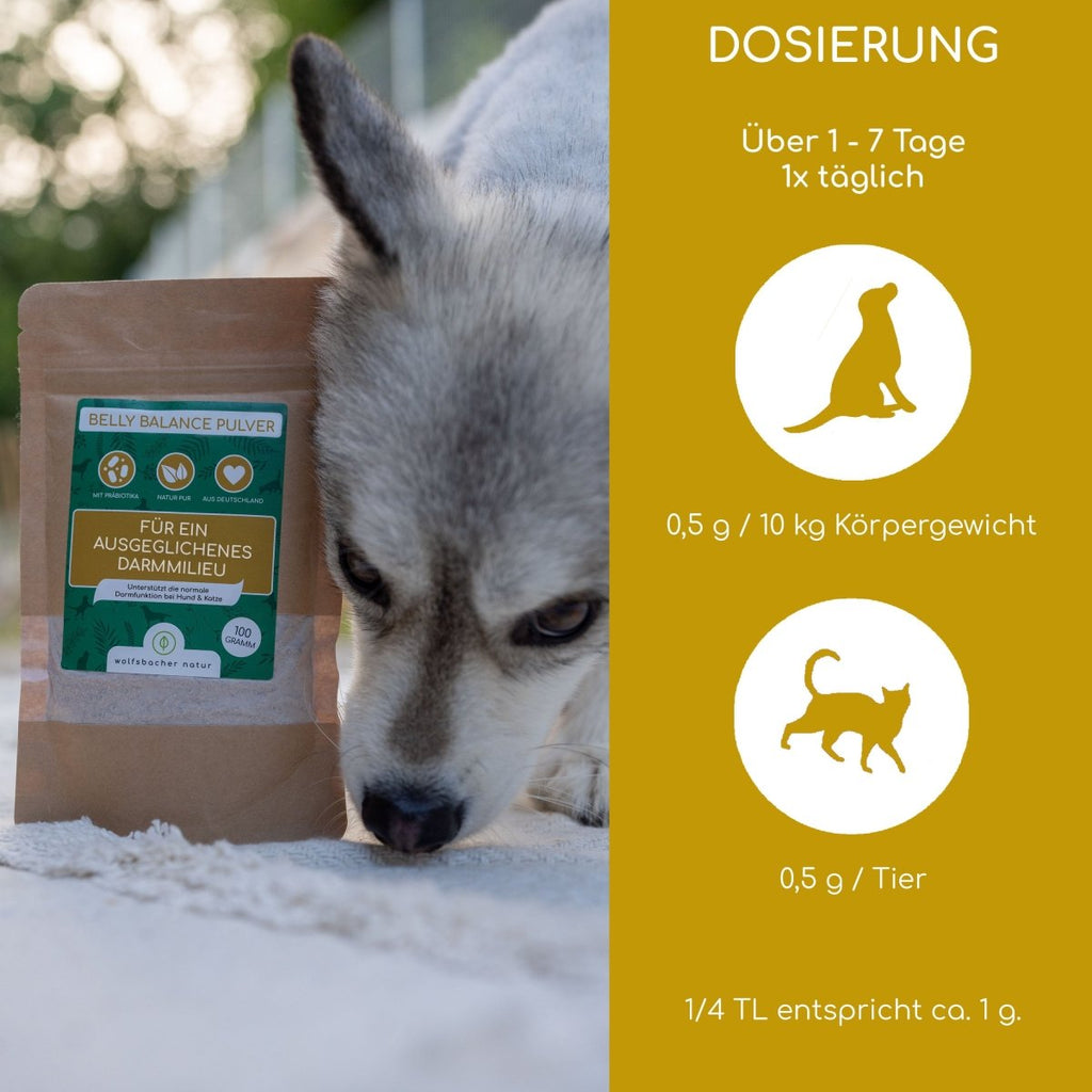 Belly Balance Pulver - Wolfsbacher Natur - empact brands - 