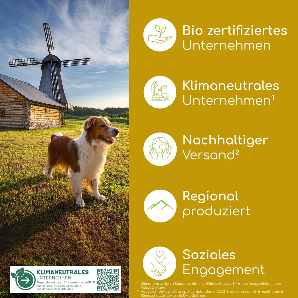 Belly Balance Pulver - Wolfsbacher Natur - empact brands - 