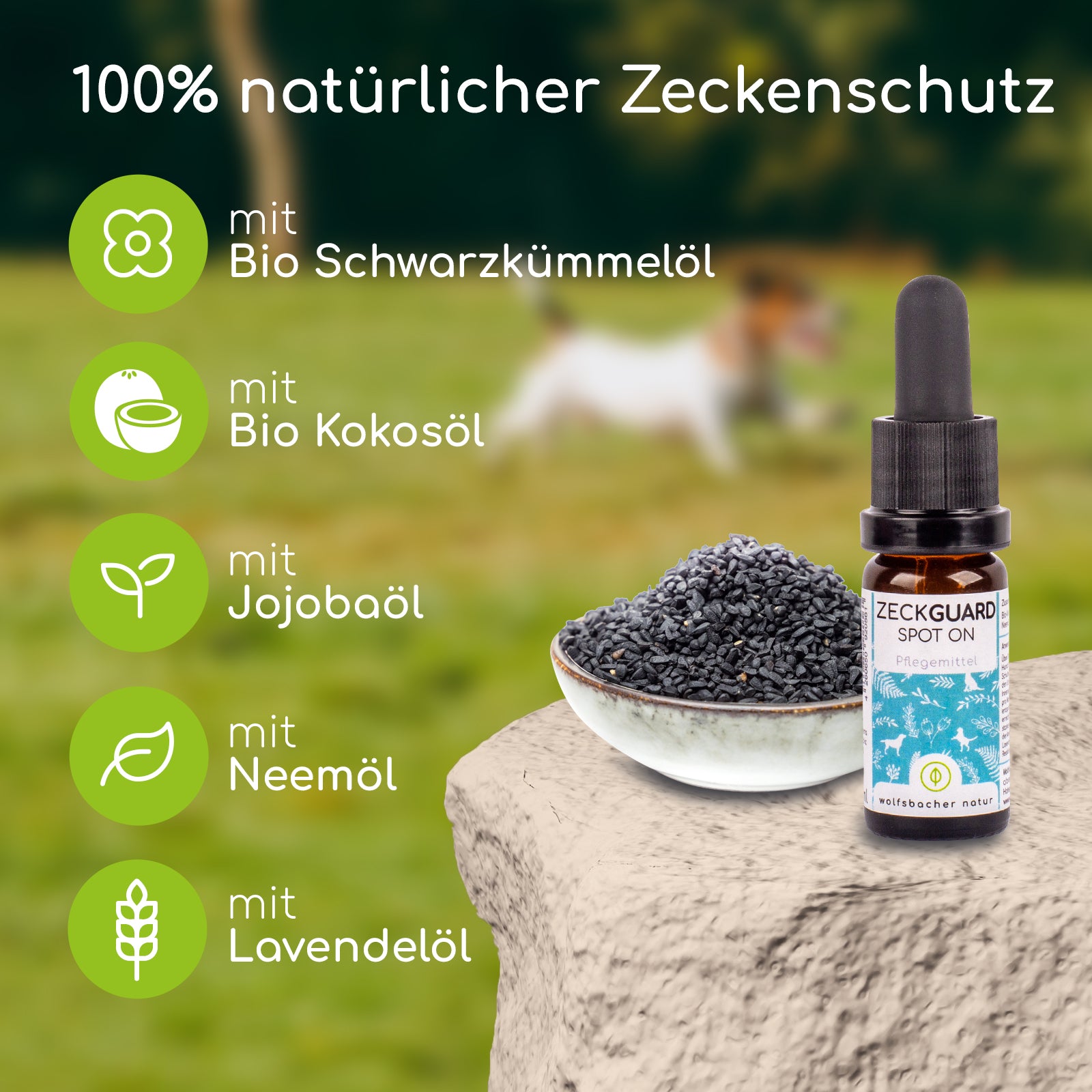 Sorglos Paket: Abwehr & Parasiten – Wolfsbacher Natur