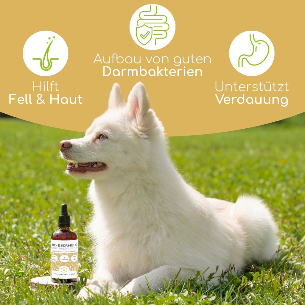 Bio Bierhefe - Wolfsbacher Natur - empact brands - 100ml