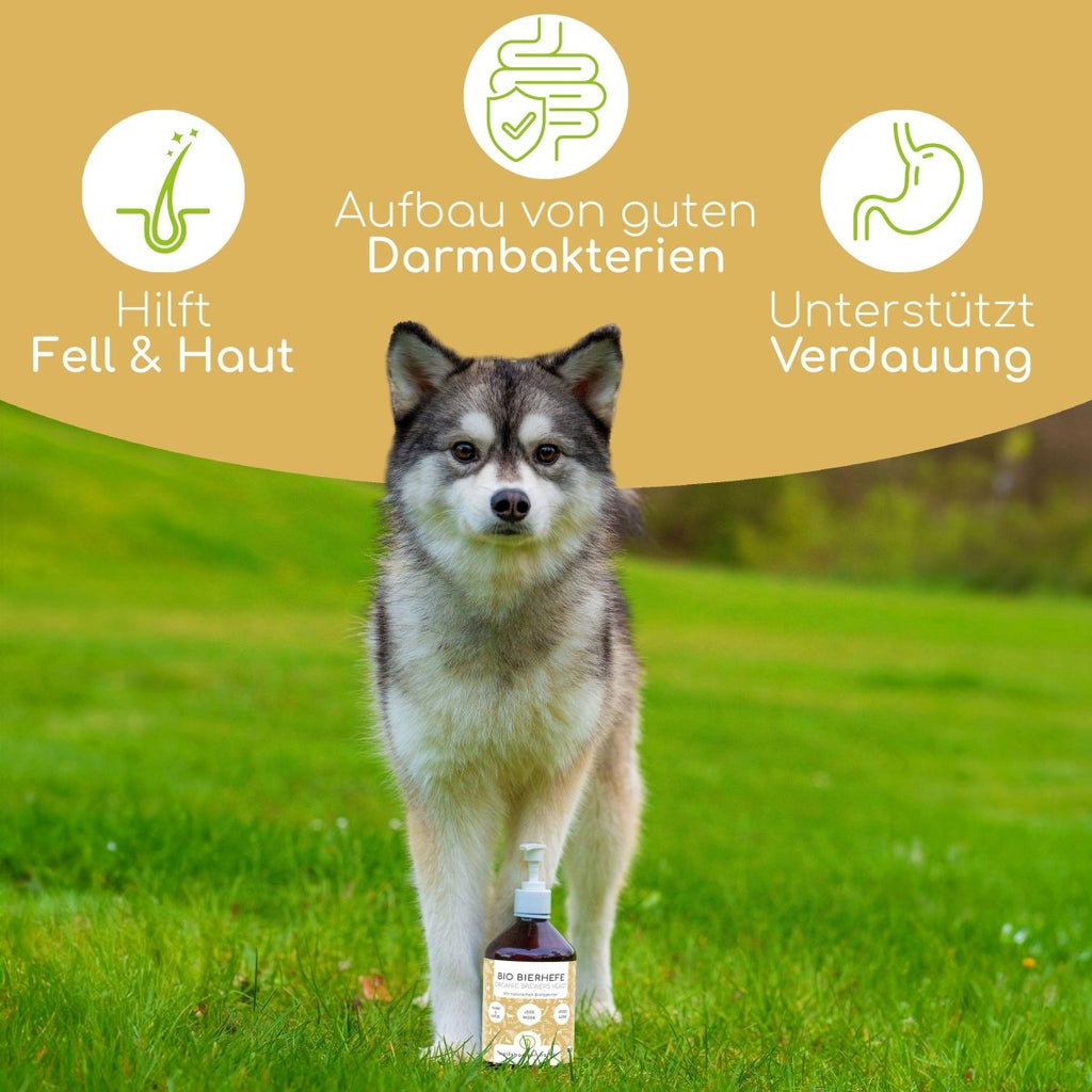 Bio Bierhefe - Wolfsbacher Natur - empact brands - 500ml