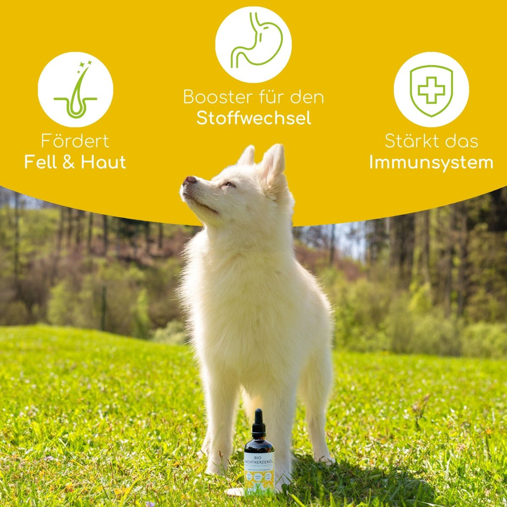 Bio Nachtkerzenöl - Wolfsbacher Natur - empact brands - 100ml