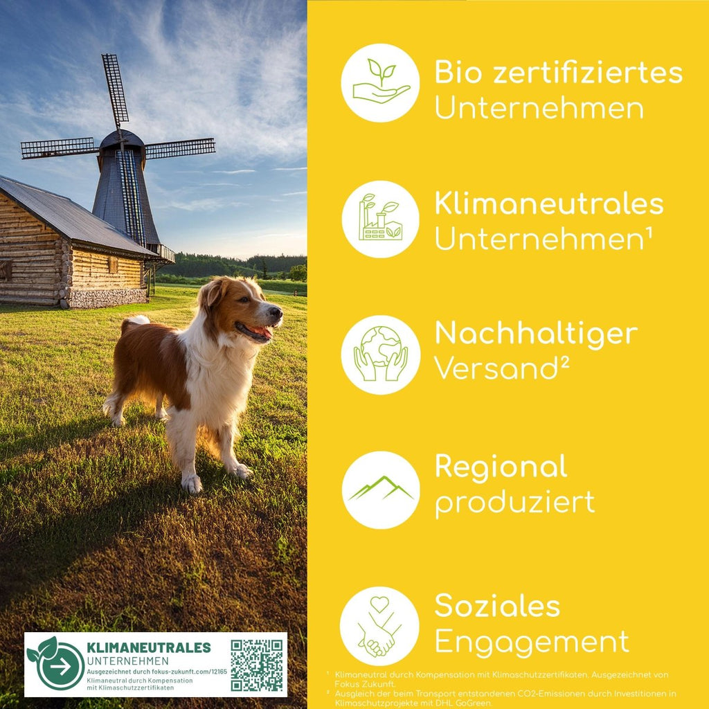 Bio Nachtkerzenöl - Wolfsbacher Natur - empact brands - 100ml