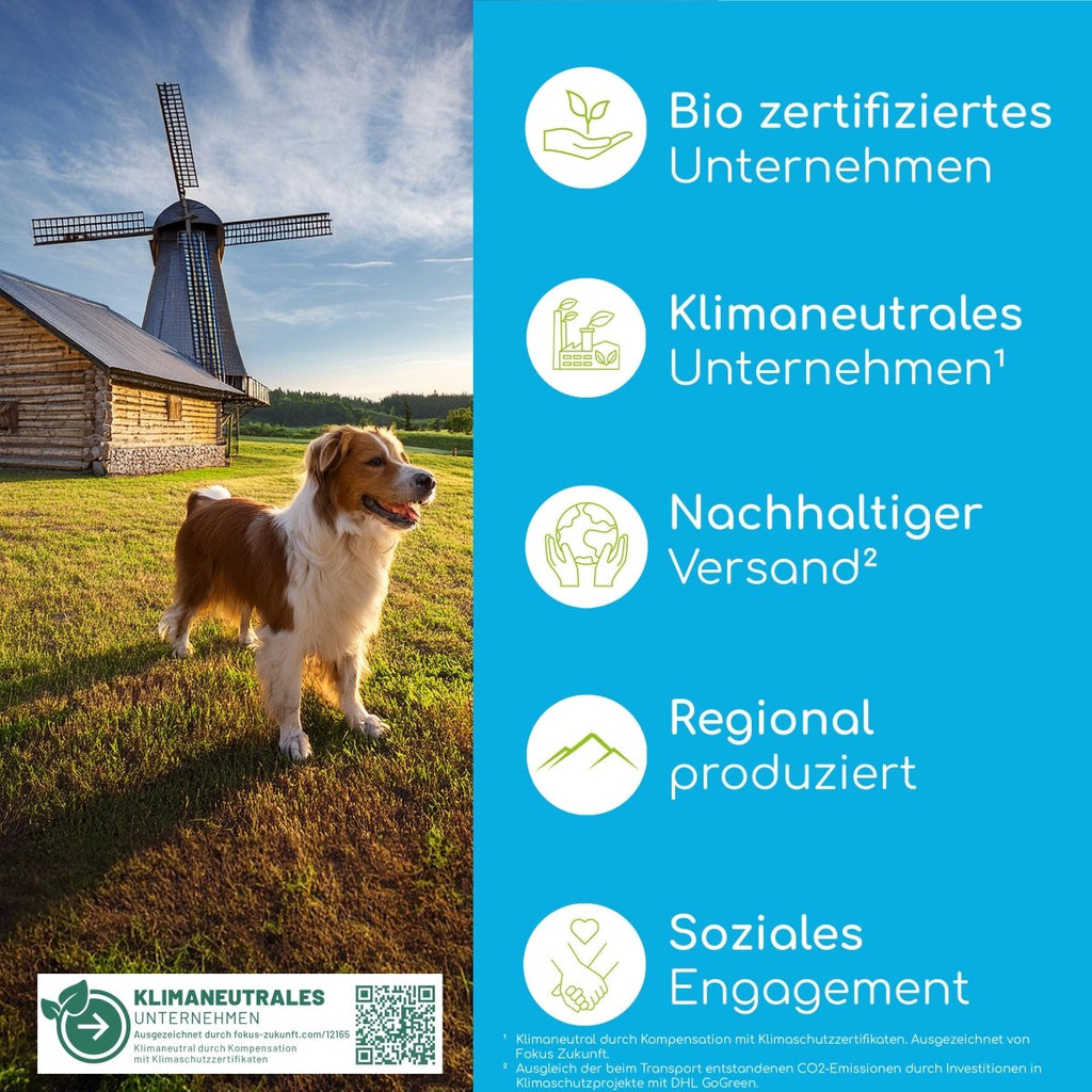 Dentalspray - Zahnpflege Spray mit Bio Minze - Wolfsbacher Natur - empact brands - 