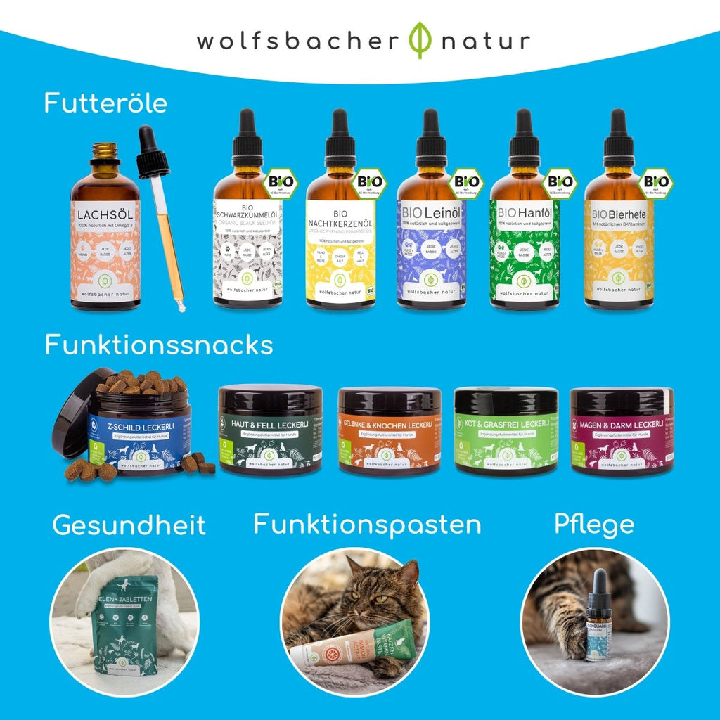 Dentalspray - Zahnpflege Spray mit Bio Minze - Wolfsbacher Natur - empact brands - 