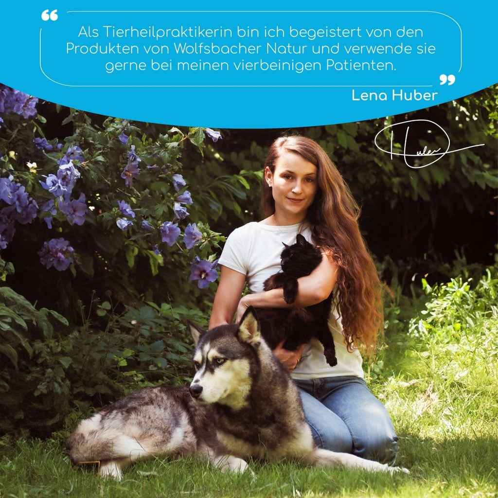 Dentalspray - Zahnpflege Spray mit Bio Minze - Wolfsbacher Natur - empact brands - 