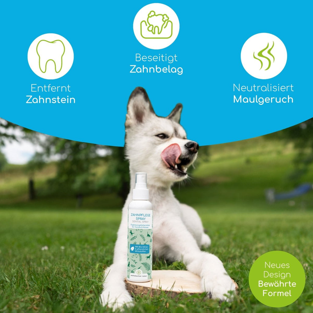 Dentalspray - Zahnpflege Spray mit Bio Minze - Wolfsbacher Natur - empact brands - 