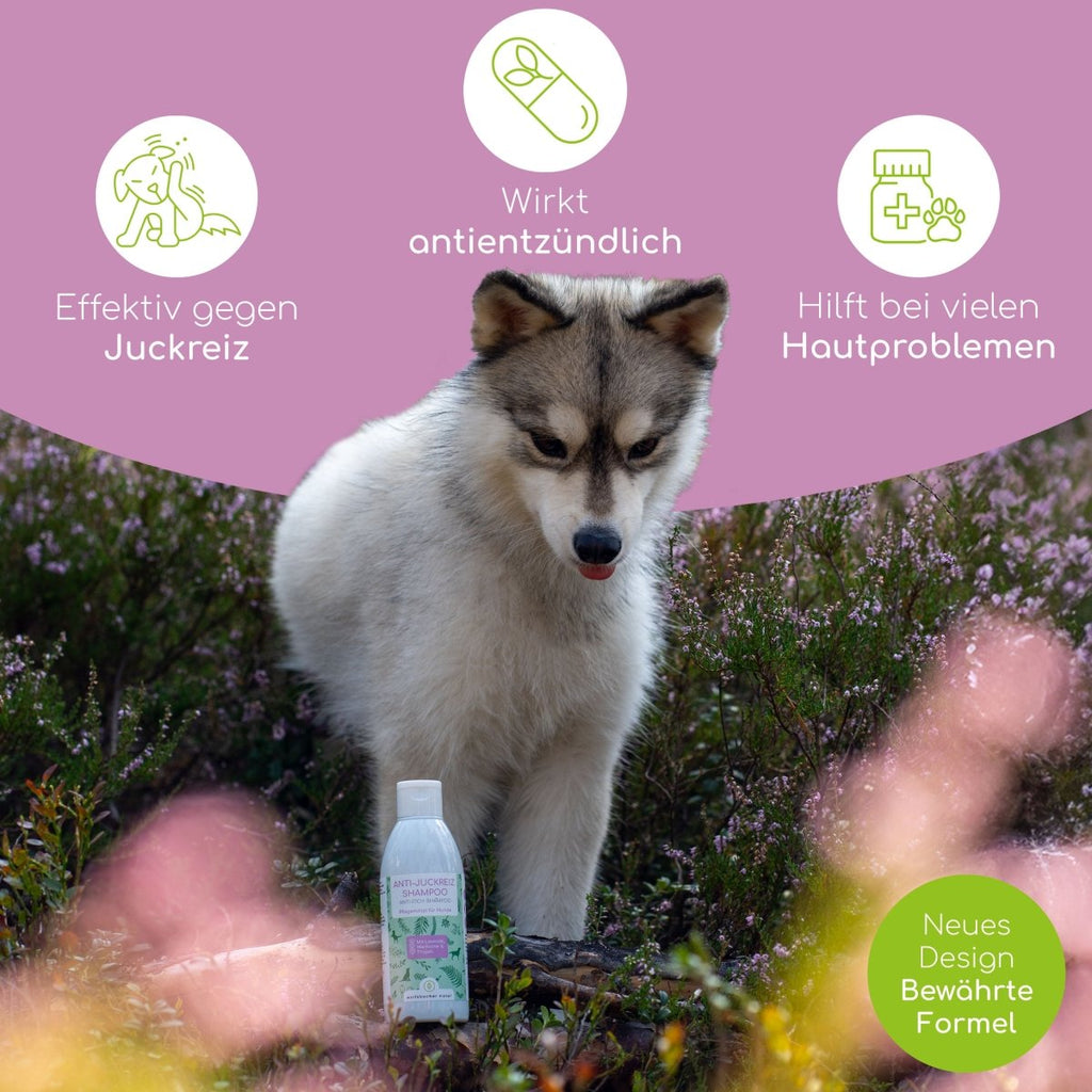 Intensiv Kur: Haut - Ruhe - Wolfsbacher Natur - empact brands - 