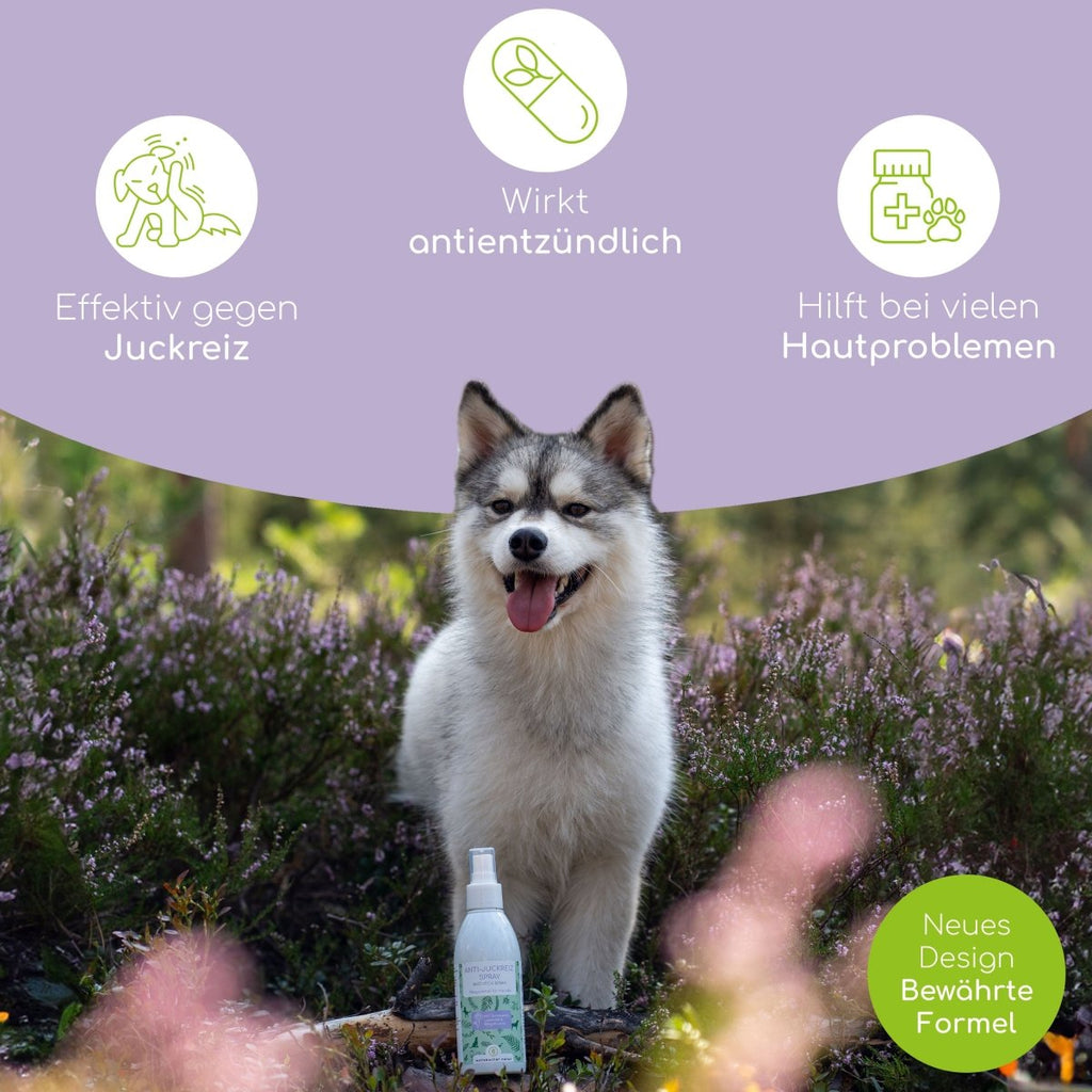 Intensiv Kur: Haut - Ruhe - Wolfsbacher Natur - empact brands - 
