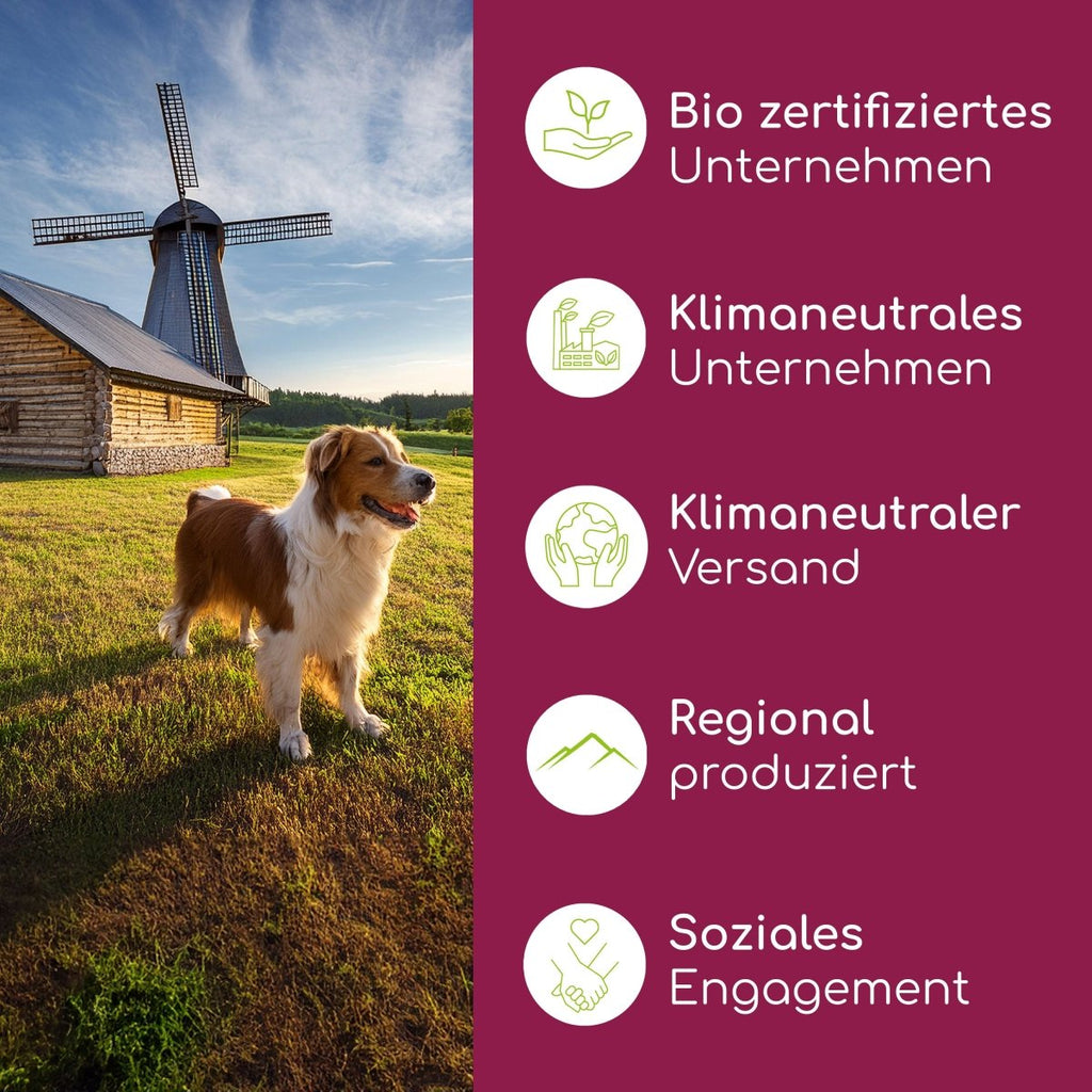 Intensiv Kur: Haut - Ruhe - Wolfsbacher Natur - empact brands - 