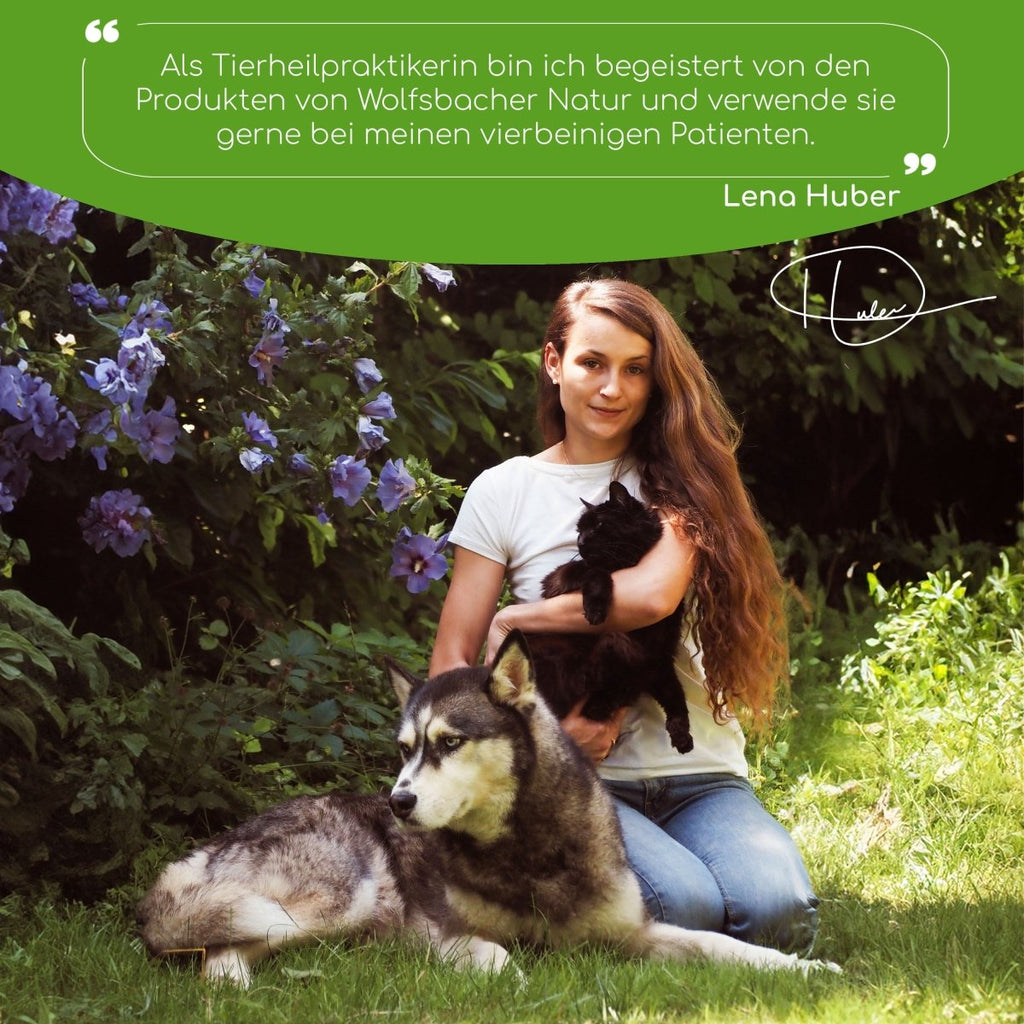 Kot & Grasfrei Snacks für Hunde - Wolfsbacher Natur - empact brands - 