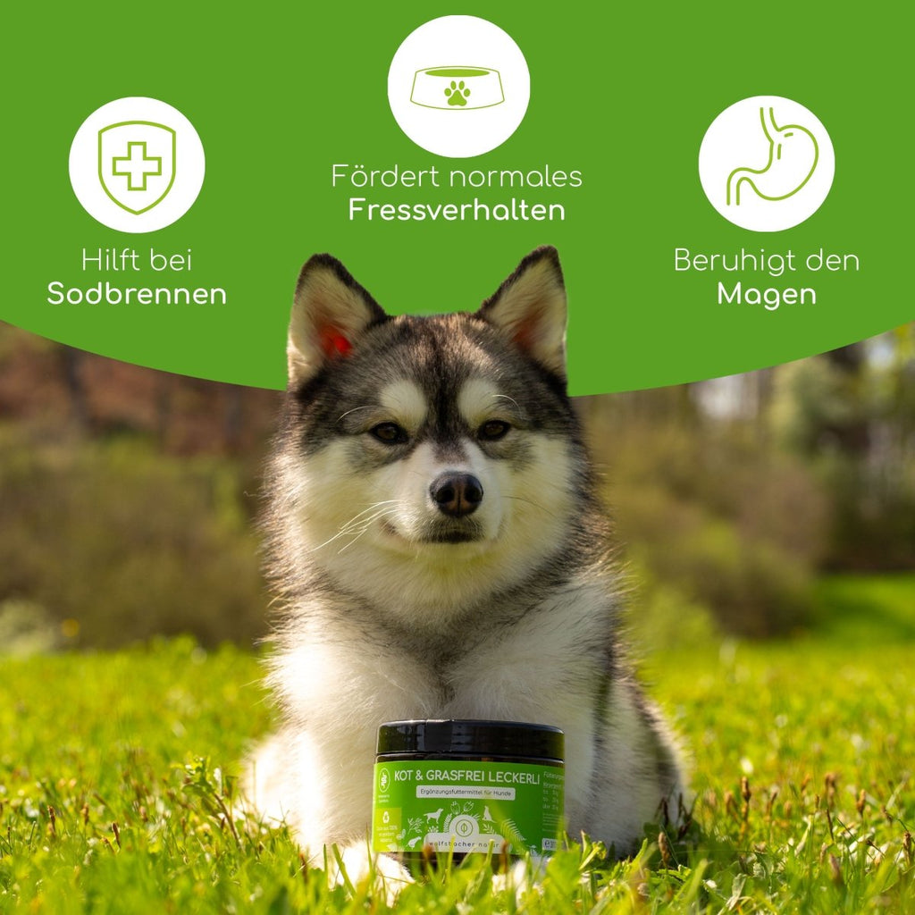 Kot & Grasfrei Snacks für Hunde - Wolfsbacher Natur - empact brands - 