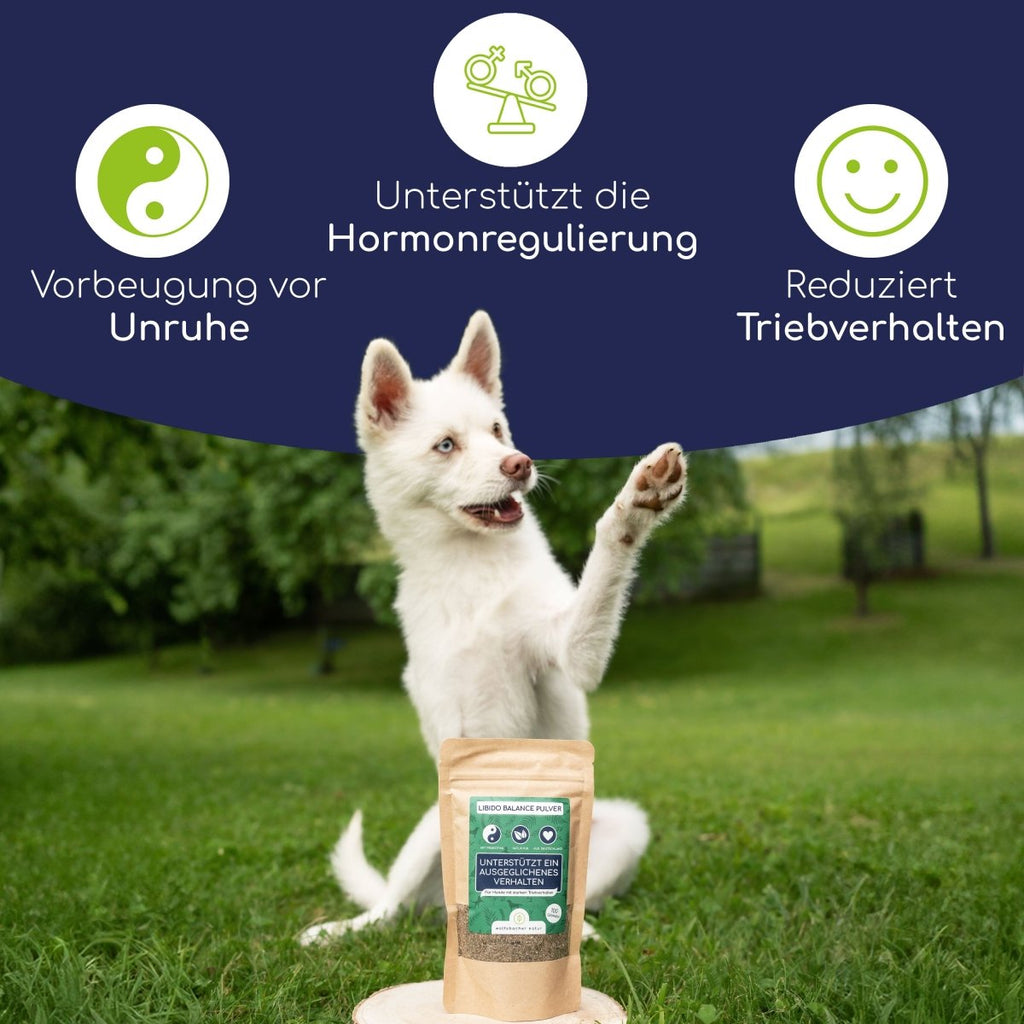 Libido Balance Pulver - Wolfsbacher Natur - empact brands - 