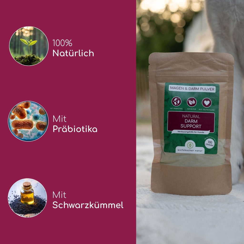 Magen & Darm Pulver - Wolfsbacher Natur - empact brands - 