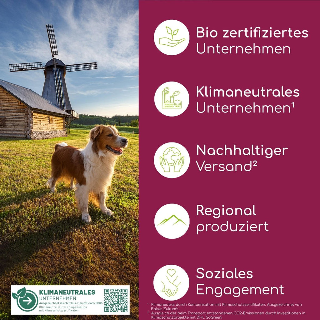 Magen & Darm Pulver - Wolfsbacher Natur - empact brands - 