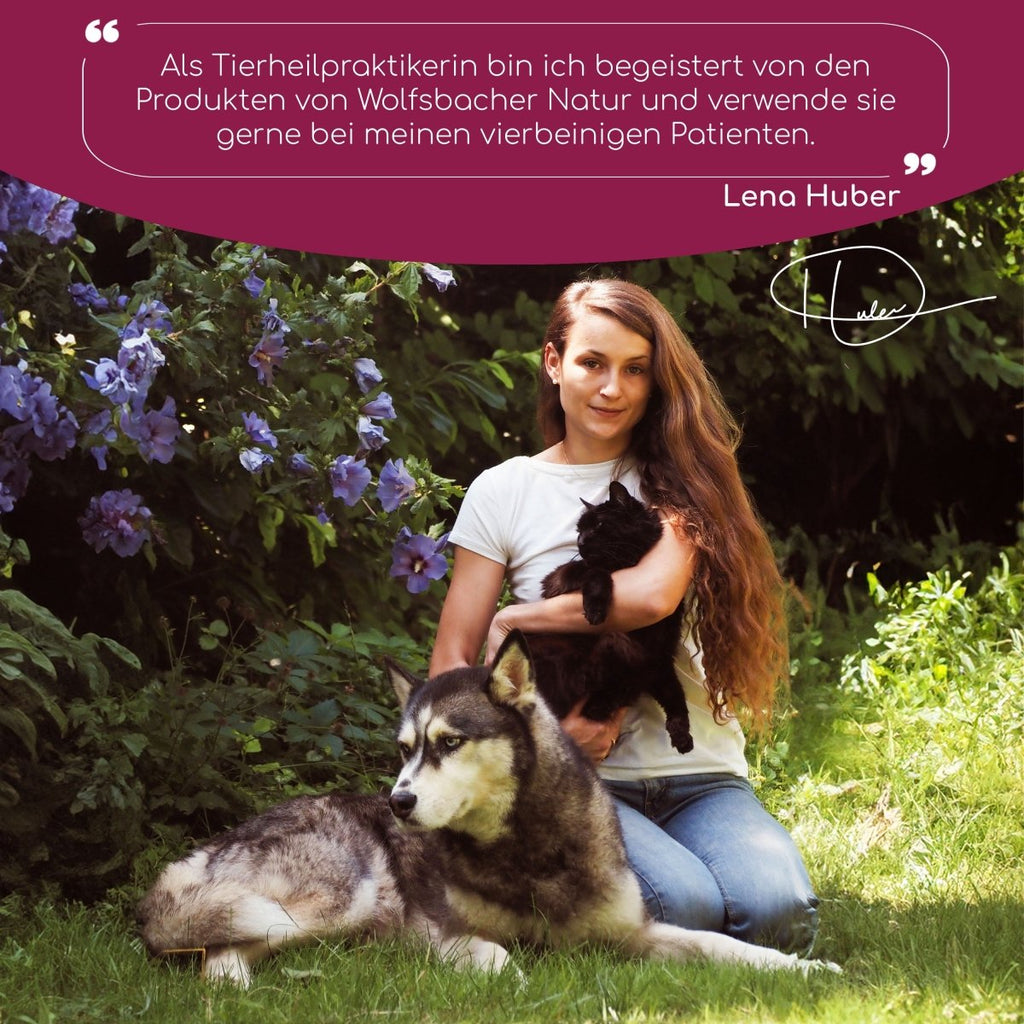 Magen & Darm Pulver - Wolfsbacher Natur - empact brands - 