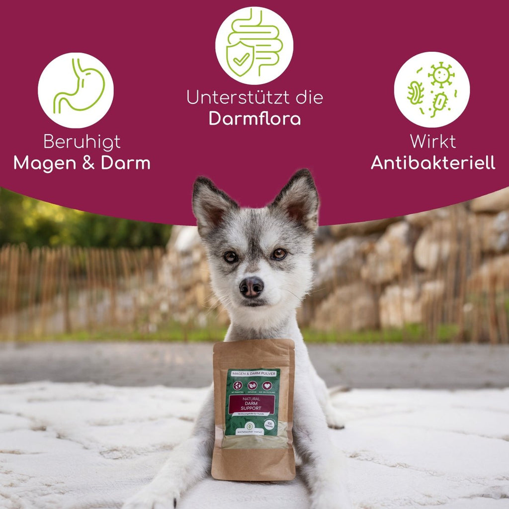 Magen & Darm Pulver - Wolfsbacher Natur - empact brands - 